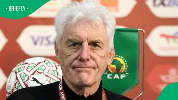 Hugo Broos must reapply if he wants to continue as Bafana Bafana coach after FIFA World Cup: Safa