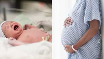 10-year-old girls are giving birth in the Free State, province sees spike in teen pregnancies