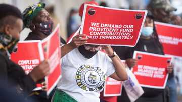 ANC workers are losing hope they will ever get paid their salaries