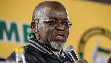 Minister of Energy and Mineral Resources Gwede Mantashe says fuel levies will increase if eTolls are scrapped