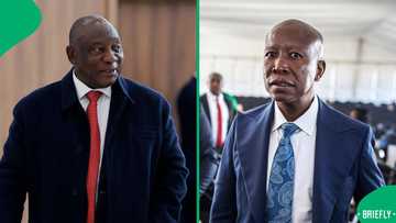 Julius Malema says Cyril Ramaphosa didn't fire Senzo Mchunu because of faction loyalty, SA disagrees