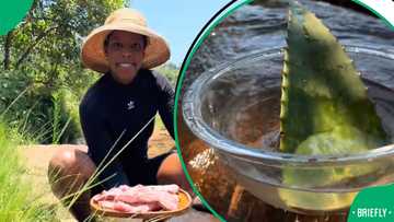 “Helped me with my acne”: Mzansi lady shares easy tutorial for homemade aloe vera soap, SA impressed