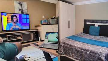 Johannesburg man asks for tips to improve 1 room apartment, Facebook users find no faults with already lit space
