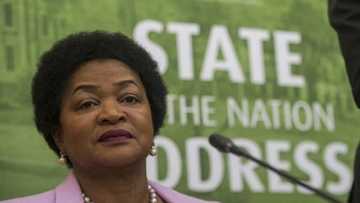 The amazing biography of Baleka Mbete