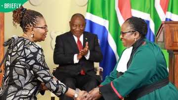 'I let South Africans down': Minister Dina Pule speaks out on her controversial cabinet return