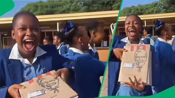 Student covers book in KFC, Spur, McD and other fastfood packages in TikTok video