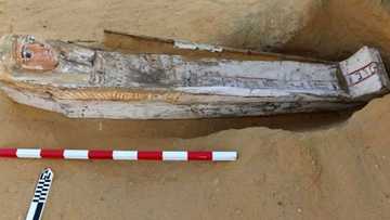 Archaeologists Unearth Egyptian Queen’s Tomb, 3000 Year Old Coffins