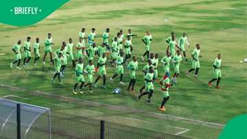 Royal AM sale official: New owners to take over debt and contracts