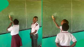 "This brightened my day": Primary school learners compete in smart spelling game, SA wowed