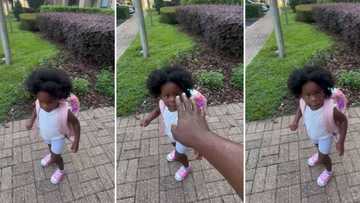 Dad teaches daughter not to let people touch her afro in adorable viral video clip, leaves peeps impressed