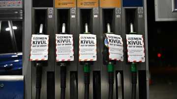 Hungary scraps petrol price caps amid fuel shortage