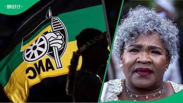 African National Congress instructs Sisisi Tolashe to resign as a Member of Parliament