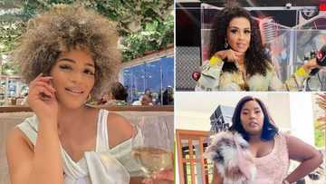 'RHOL' vs 'RHOD': Mzansi reality show viewers want Durban housewives to take notes from the Lagos ladies