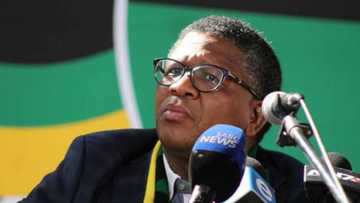 Mbaks in 2020: 5 times Fikile Mbalula had social media buzzing