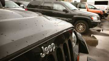 Jeep owner Stellantis posts record profit on higher prices