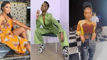 Yoh, the beauty: Thembi Seete, Zozi Tunzi and Ama Qamata heat up voting day