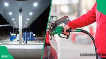 "Every person should get tipped": Discussion on tipping petrol attendants divides South Africans