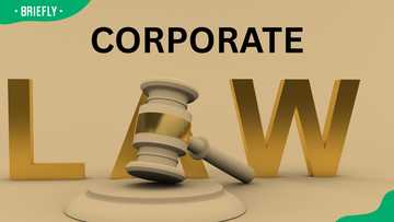 Corporate lawyer salary in SA: how much do they earn and what do they do?