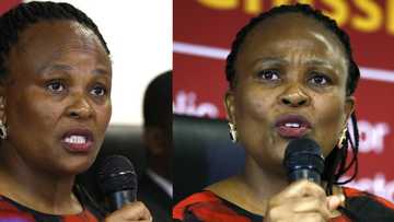 Busisiwe Mkhwebane: CASAC & Corruption Watch make their cases in court