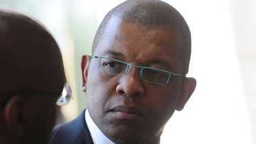 Impeachment hearing meltdown: Advocate Dali Mpofu tell DA MP Kevin Mileham to “shut up”