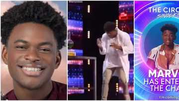 BBTitans: Fans dig up videos of Nigerian contestant Marvin from America's Got Talent, The Circle on Netflix