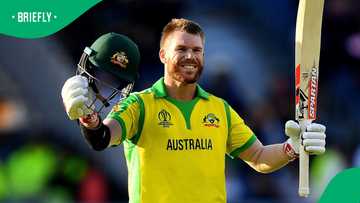David Warner charged after alleged drunk-driving incident sparks controversy