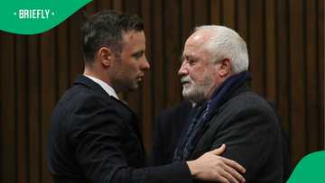 Oscar Pistorius' dad supports white genocide claims, SA links stance to Reeva Steenkamp murder defence