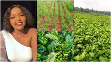 Gorgeous lady succeeds big in farming, shows off her plantation