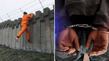 SAPS officers recapture 2 inmates who escaped from Free State prison after only 9 hours on the run