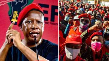 Julius Malema calls for unity ahead of EFF's national shutdown, Mzansi unfazed: “We will not be moved”