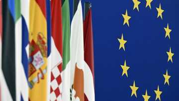 EU should be ready for new members by 2030: Charles Michel