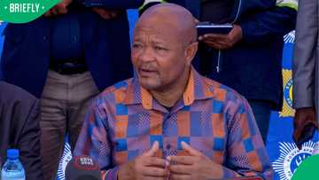 Senzo Mchunu yet to resume ANC duties as party stops immediate return, South Africans debate move