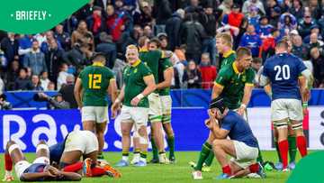 France’s Springboks plans in disarray as six stars ruled out