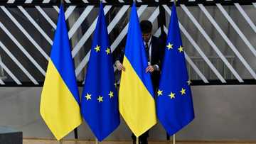 EU study slams big tech firms over Russian disinformation