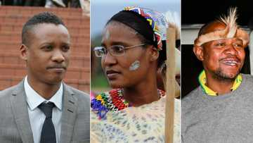 DA calls for Duduzane, Duduzile and Edward Zuma to be arrested for incitement of violence