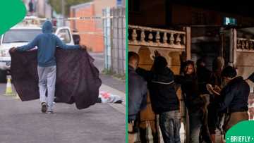 Western Cape records 1,157 murders in 3 months, officials warn of gang violence