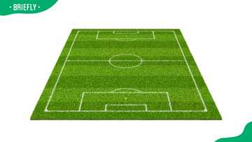 How wide is a soccer field? Dimensions and layout explained