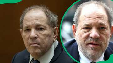Harvey Weinstein’s net worth today: what is left of his fortune?