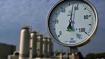 Europe could face gas shortage next year: IEA