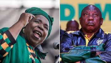 Phala Phala: Nkosazana Dlamini-Zuma calls for Ramaphosa to step aside, Mzansi backs her with #RamaphosaMustGo