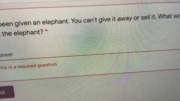 Woman shares the weird question she was asked during a job application, sparks debate on social media