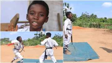 Kung Fu brothers reveal why their father taught them how to fight, show amazing techniques in video
