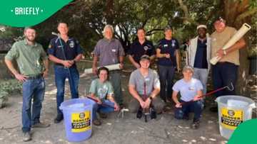 A black mamba lifted a third of its body off the ground in a viral clip that stunned South Africans