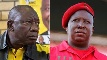 Julius Malema slams ANC's timing of R350 grant: "Another food parcel programme"