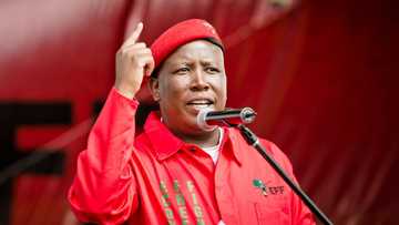 EFF blasts President Cyril Ramaphosa's Cabinet reshuffle, calls for ministers to retire