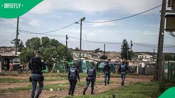 Murder, rape cases drop in KZN, but police remain concerned over 1,179 deaths
