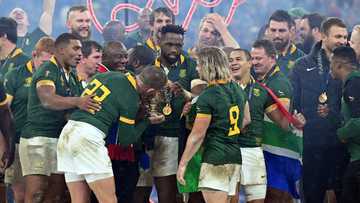 Springboks veteran returns to squad for All Blacks showdown at Loftus Versfeld