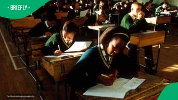 Gauteng Education MEC Maile closes 32 illegal schools, allocates r1.13bn in subsidies