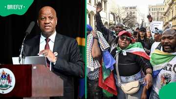 KZN Premier Thami Ntuli slams anti-illegal immigration protests