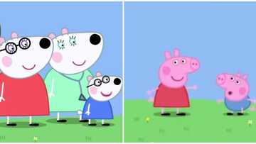 Peppa Pig introduces 1st same-gender couple on children’s cartoon show